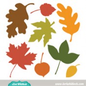 8 Fall Leaves
