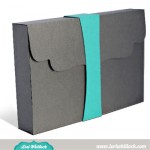 LW-Belly-Band-Box