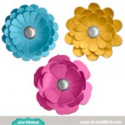 3D Flowers Set 1