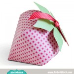 LW-Strawberry-Box LW-Strawberry-Box